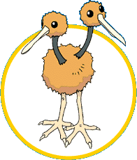 Doduo