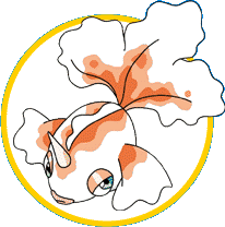 Goldeen