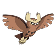 Noctowl