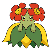 Bellossom