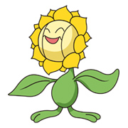 Sunflora