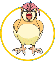 pidgeotto