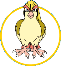 Pidgeot