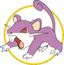 Rattata