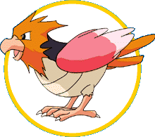 Spearow